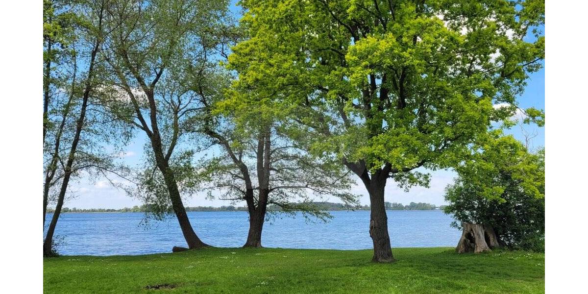 Grundstück Groß Kreutz (Havel) Krielow - 159.000&euro; | Angebot:25676543