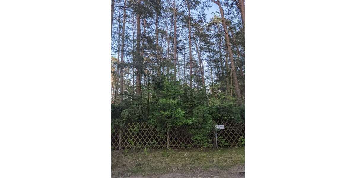 Grundstück Borkwalde - 53.000&euro; | Angebot:27096588