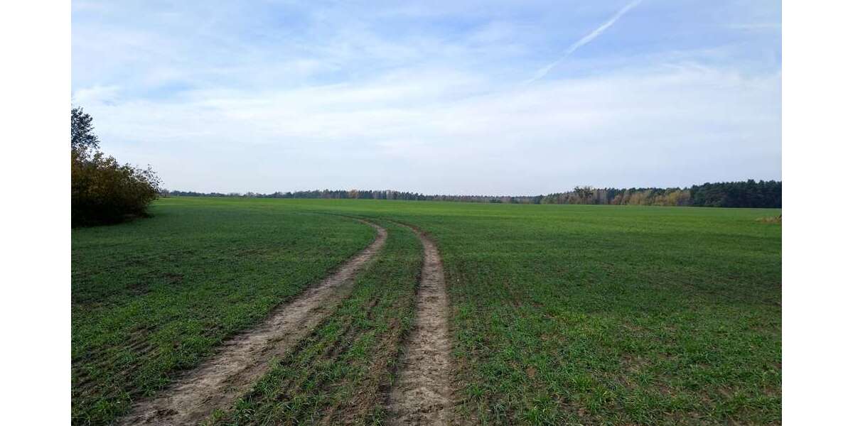 Grundstück Stahnsdorf / Güterfelde Güterfelde - 49.000&euro; | Angebot:22533376