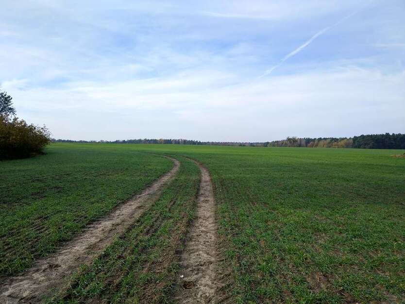 Grundstück zu verkaufen in Stahnsdorf Güterfelde 49.000 € 10370 m² zimmer