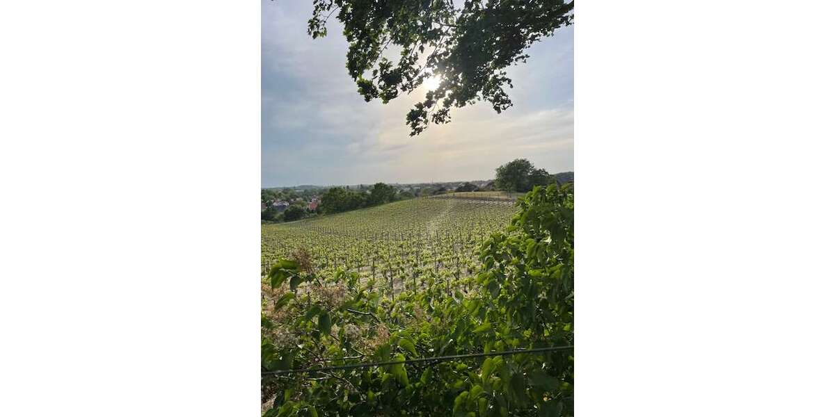 Einfamilienhaus Werder - 5 Zimmer, 117 m&sup2;, 455.800&euro; | Angebot:24497595