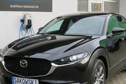 Mazda CX-30 73.005 km 20.990 &euro; Schwielowsee OT Geltow 14548