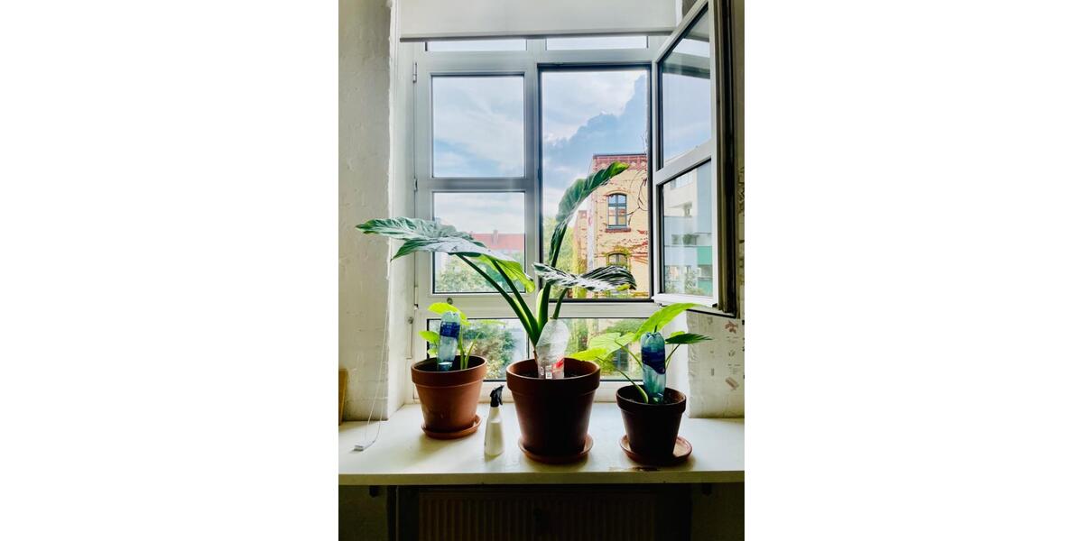 Gewerbeobjekt Berlin Neukölln - 320&euro; | Angebot:26236633