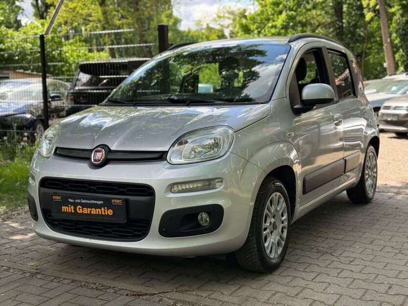 Panda