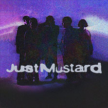 Just Mustard