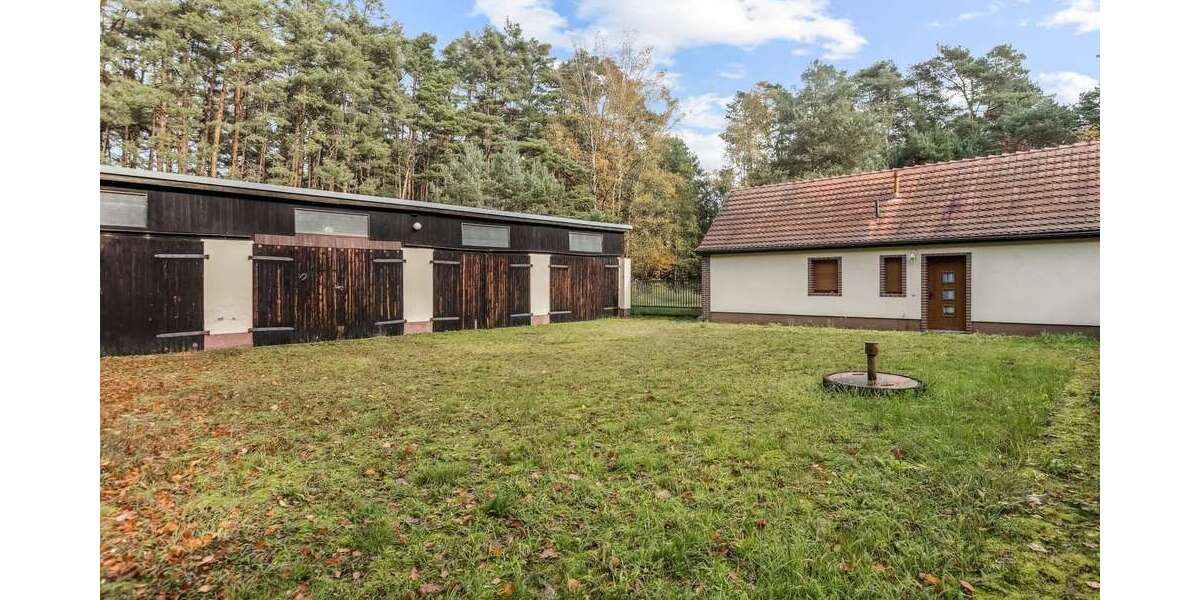 Einfamilienhaus Borkwalde - 2 Zimmer, 53 m&sup2;, 295.000&euro; | Angebot:26554488