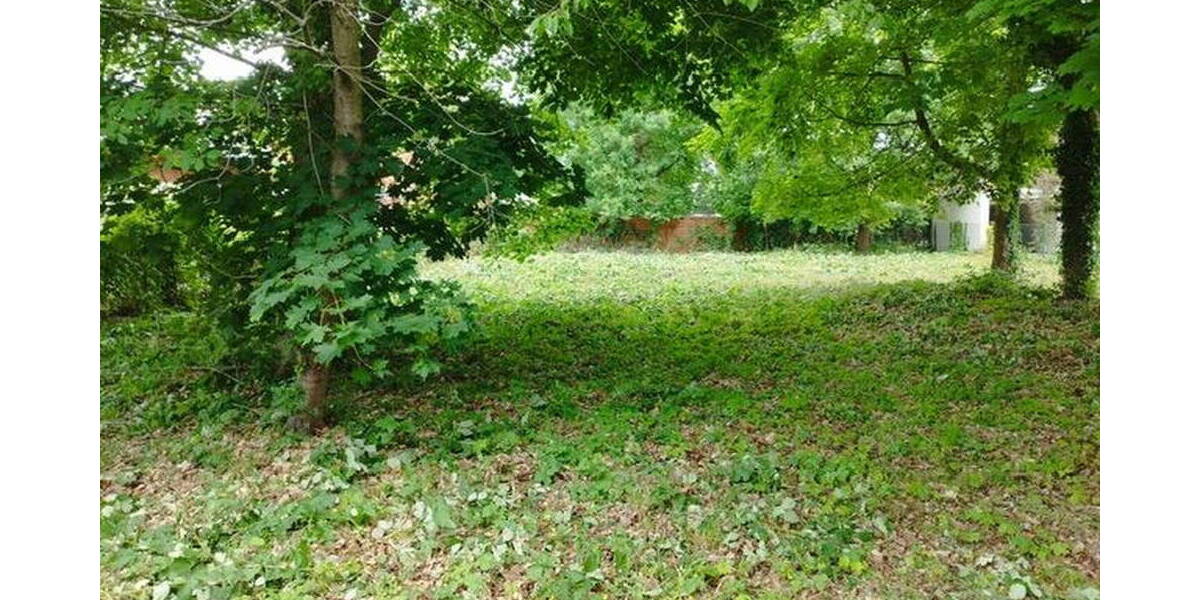 Grundstück Potsdam Bornstedt - 810.000&euro; | Angebot:26102925