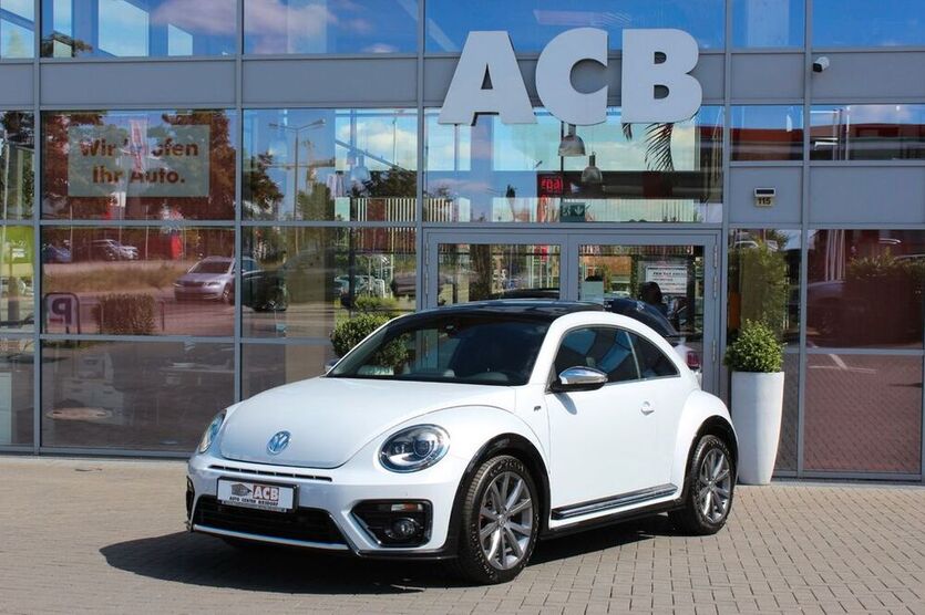Beetle
