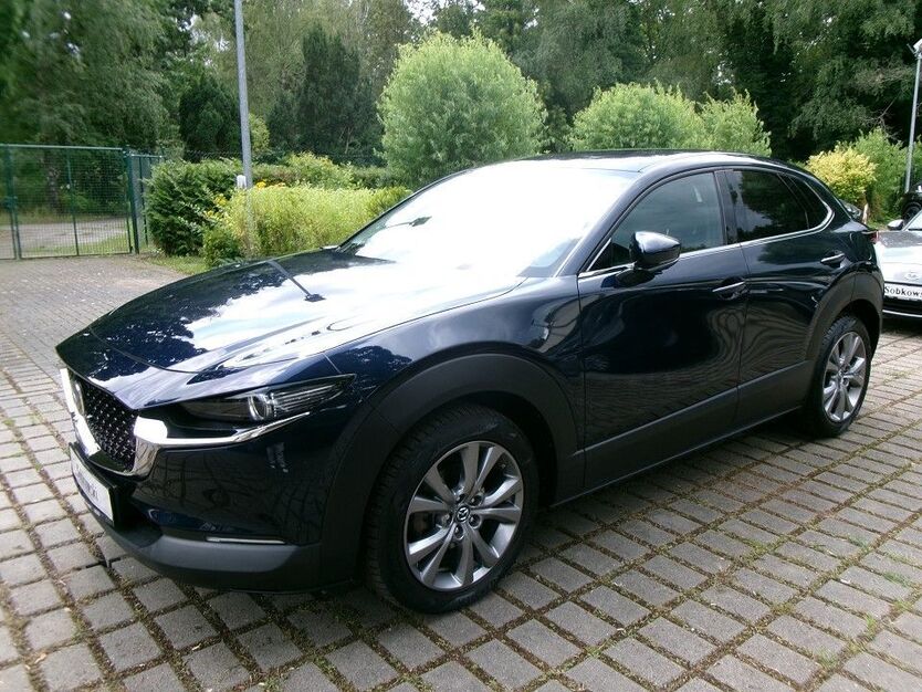 CX-30