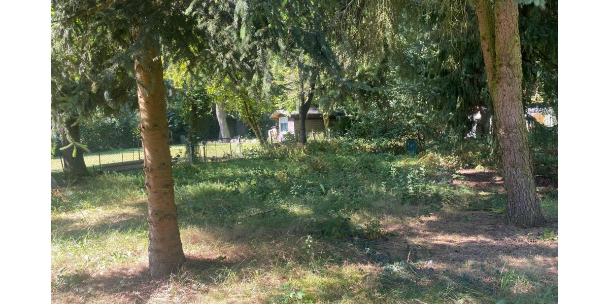 Großzügiges Baugrundstück in Toplage von Rangsdorf - direkt am Naturschutzgebiet zimmer