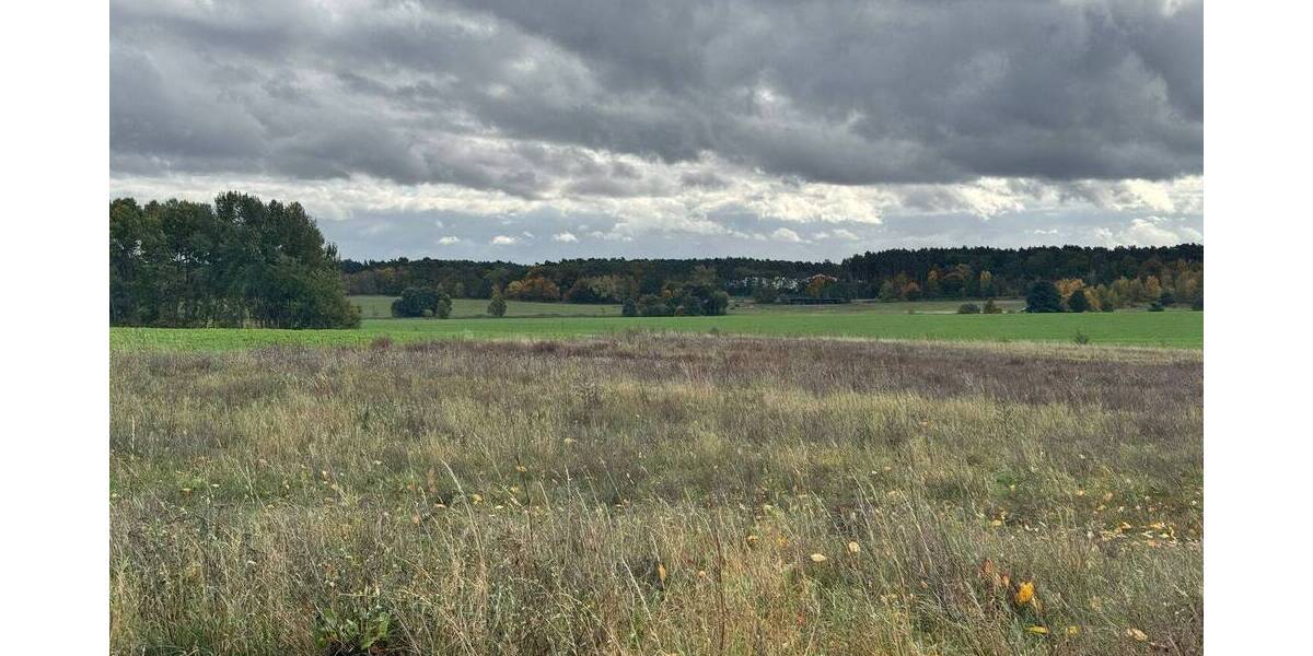 Grundstück Michendorf Bergheide - 245.000&euro; | Angebot:26207430