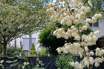 Haus Berlin Lichtenberg - 3 Zimmer, 109 m&sup2;, 555.000&euro; | Angebot:26378200