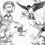 Montell Fish - The Nest Tour
