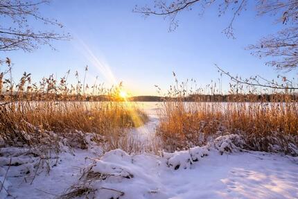 Natur, Ruhe & Stadtnähe: Doppelhaushälfte in Gröben 5 zimmer