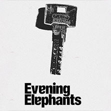 Evening Elephants - Support: Muroki & Panicbaby 30.10.2025 Bi Nuu