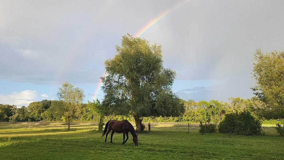 Gewerbeobjekt Kleinmachnow - 830.000&euro; | Angebot:24563157