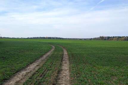 Grundstück Stahnsdorf / Güterfelde Güterfelde - 49.000&euro; | Angebot:22533375