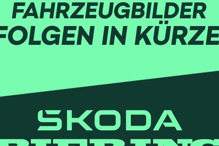 Skoda Kamiq 14.650 km 25.490 &euro; Schwielowsee OT Geltow 14548