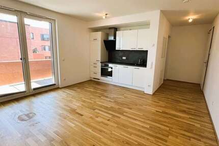 Wohnung zum Mieten in Mainz 810 € 33.8 m²