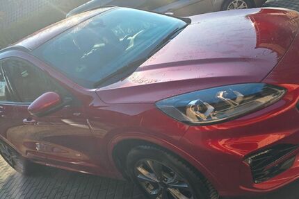 Ford Kuga 25.200 km 27.950 &euro; Nauen 14641