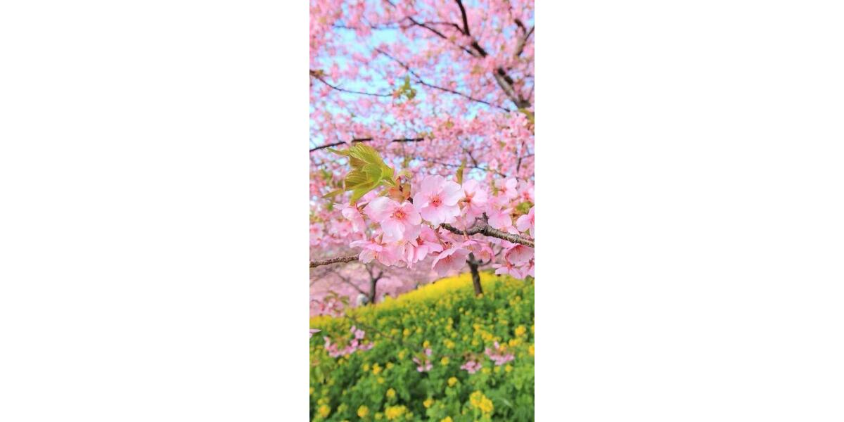 Einfamilienhaus Potsdam Krampnitz - 3 Zimmer, 107 m&sup2;, 418.000&euro; | Angebot:25810086