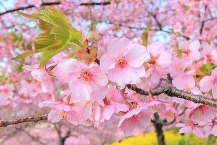 Haus Potsdam Krampnitz - 3 Zimmer, 107 m&sup2;, 418.000&euro; | Angebot:25810086