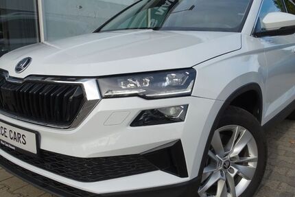 Skoda Karoq 1.012 km 31.490 &euro; Nauen 14641