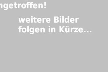 VW Tiguan 174.861 km 7.970 &euro; Potsdam-Drewitz 14480