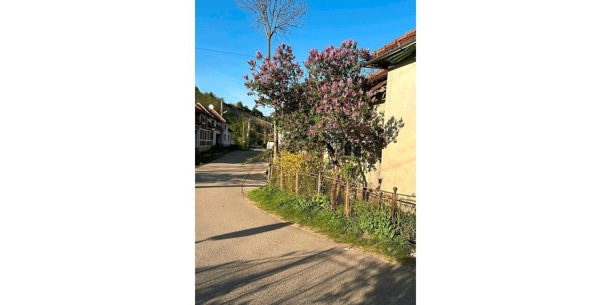 Einfamilienhaus Potsdam Krampnitz - 6 Zimmer, 170 m&sup2;, 68.000&euro; | Angebot:27017573