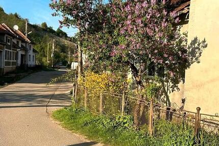 Haus Potsdam Krampnitz - 6 Zimmer, 170 m&sup2;, 68.000&euro; | Angebot:27017573