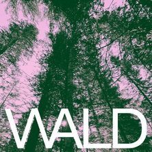 Wald in english Berlin