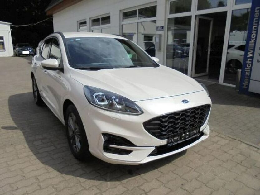 Kuga