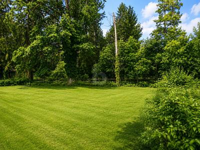 FAMILIENFREUNDLICH BAUEN IN ATTRAKTIVER WOHNLAGE - Grundstück Schönwalde | Angebot:27136642