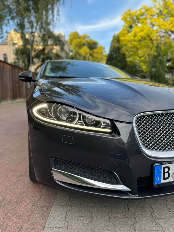 XF