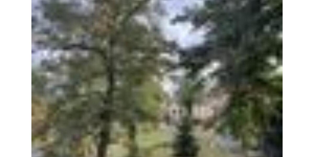 Dachgeschoßwohnung Ludwigsfelde - 3.5 Zimmer, 120 m&sup2;, 1.179&euro; | Angebot:25232695