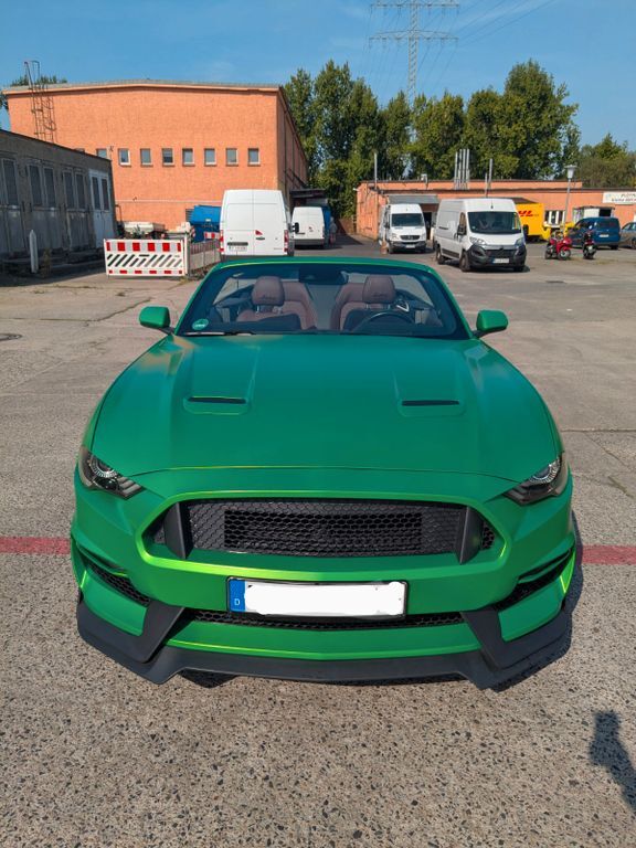 Mustang