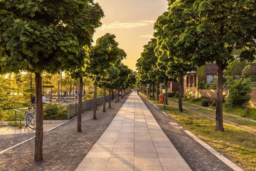 Moderne 4-Zimmer-Neubauwohnung im 4. OG - provisionsfrei, Erstbezug ab Frühjahr 2025 4 zimmer