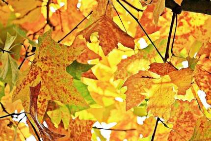 3 Zimmer- Sonnen-Terrassenwohnung im eleganten Neubau und netten Nachbarn 3 zimmer