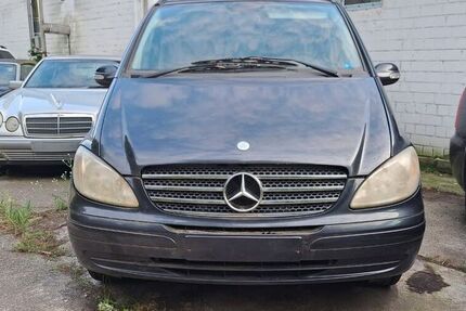 Mercedes Viano