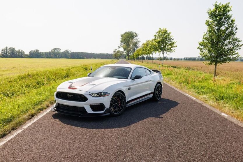 Mustang