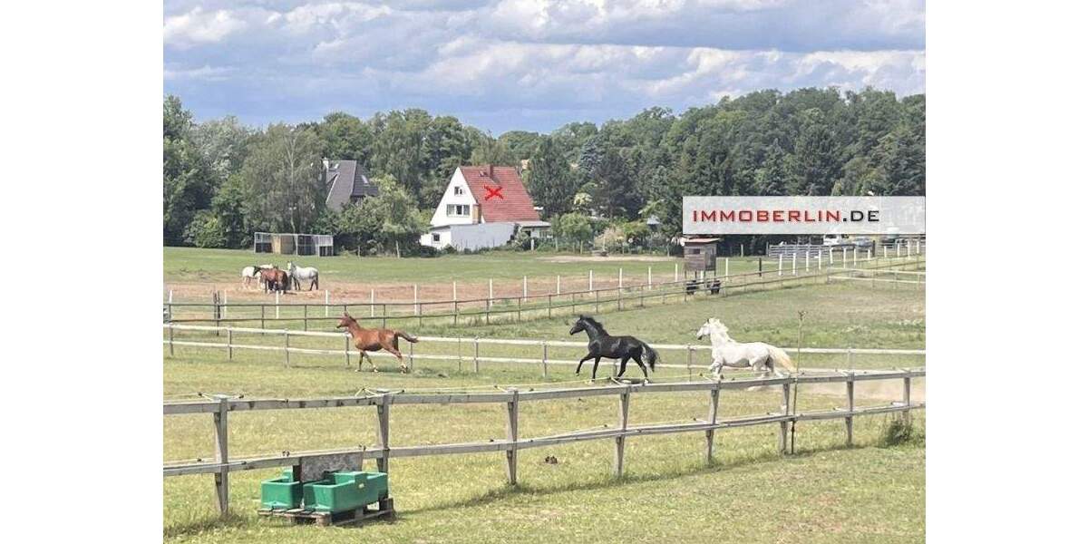 Einfamilienhaus Potsdam Krampnitz - 1 Zimmer, 149 m&sup2;, 640.000&euro; | Angebot:25314108