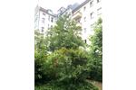 Etagenwohnung Berlin Friedrichshain-Kreuzberg - 3 Zimmer, 70 m&sup2;, 439.000&euro; | Angebot:26885263