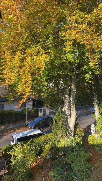Gepflegtes Reihenmittelhaus in Wannsee mit Garten und Garage