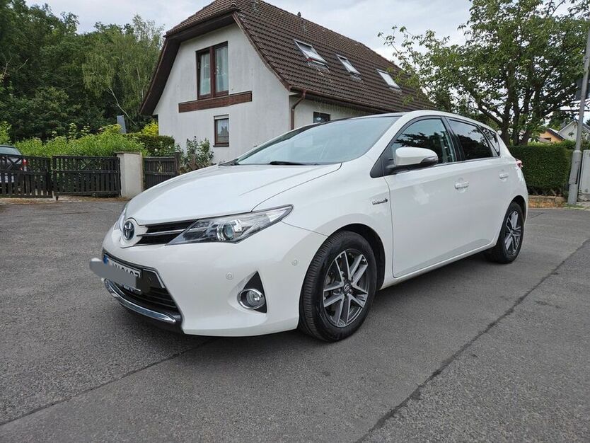 Auris