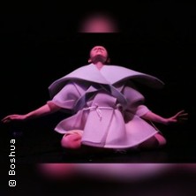 Warrior + Dreamer - mit Anne-Mareike Hess 14.12.2025 Dock 11