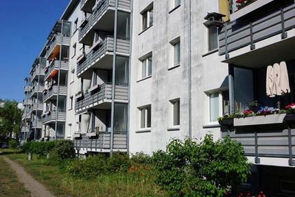 Sanierte 3. Zimmer in Waldstadt 3 zimmer