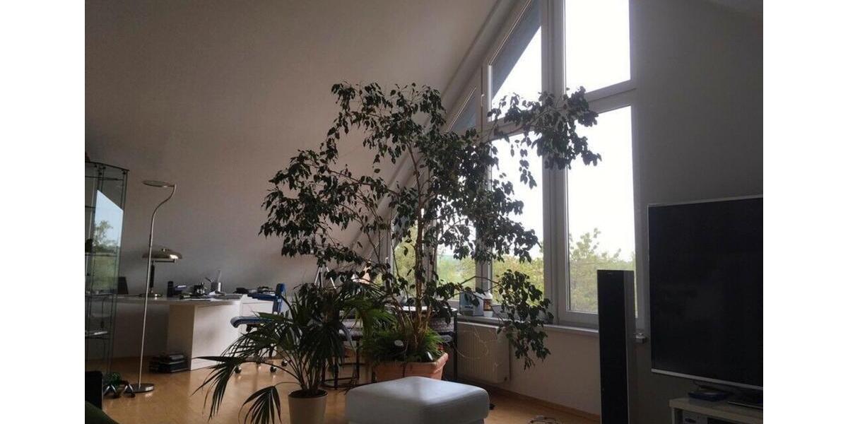 Einfamilienhaus Michendorf - 5 Zimmer, 400 m&sup2;, 950.000&euro; | Angebot:10809395