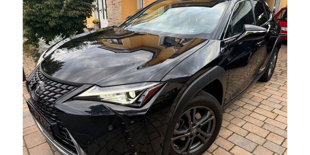 Lexus UX 39.000 km 25.999 € Falkensee 14612