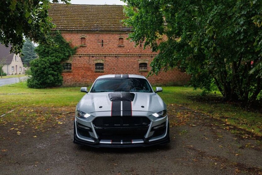 Mustang