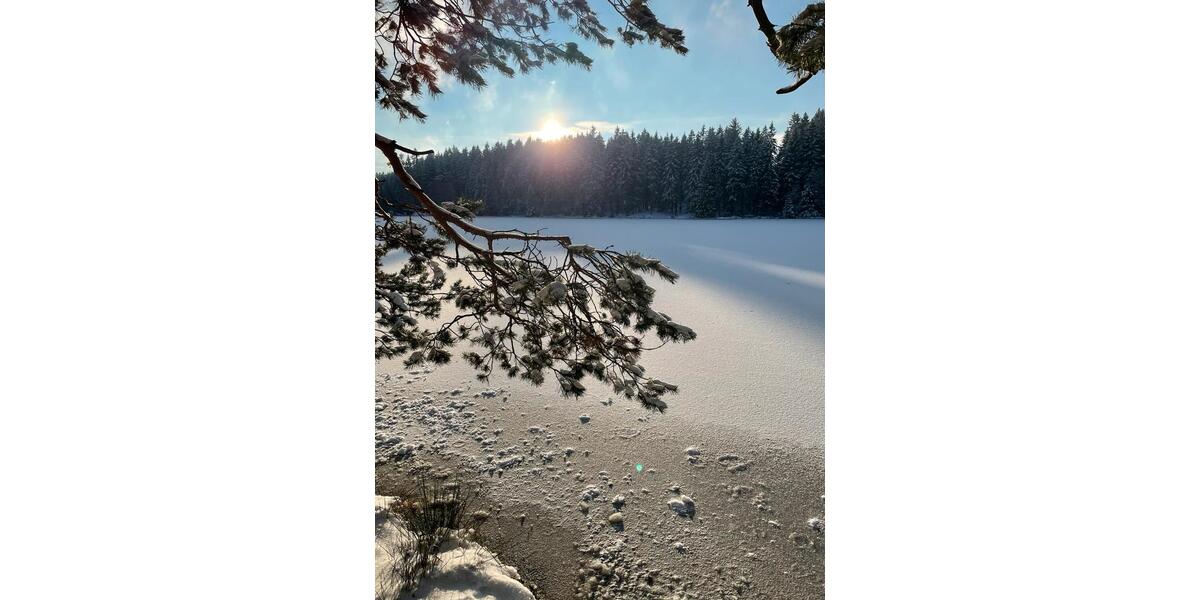 Hochparterre Kleinmachnow - 1 Zimmer, 25 m&sup2;, 60.000&euro; | Angebot:26888830